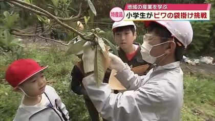 小学生がビワの袋掛け　収穫後には「道の駅たのうらら」で販売にも挑戦予定　大分