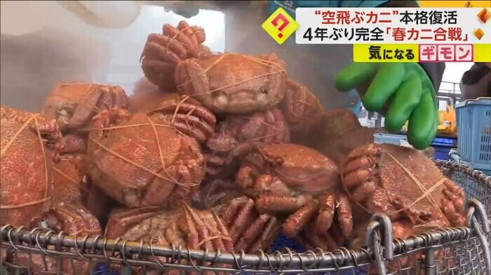 山積みになったゆでられた毛ガニ