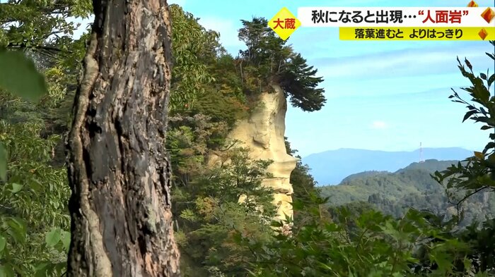 藪の中から見えたのは…