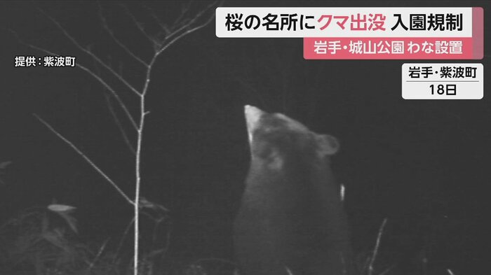 4月11日からクマの目撃情報が相次ぐ