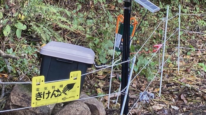 黒部峡谷鉄道 提供