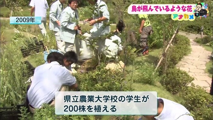 懸命に育てる学生たち（2009年）
