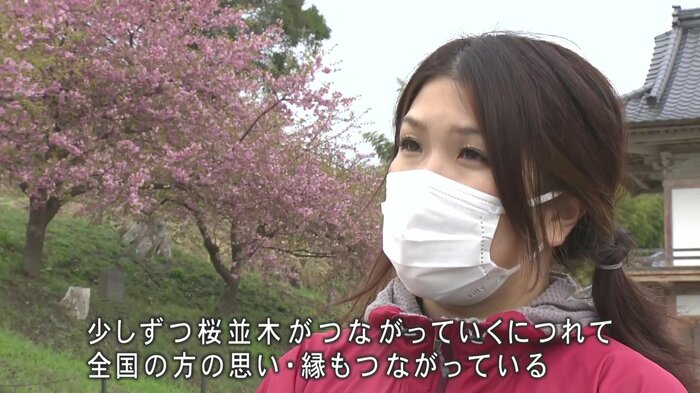 NPO法人「桜ライン311」伊勢友紀副代表