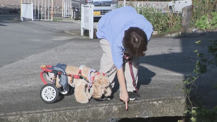 ニュースONE