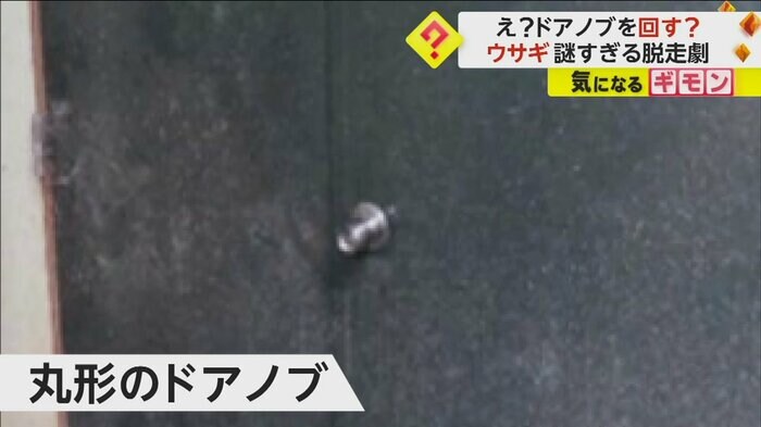 (札幌市円山動物園)