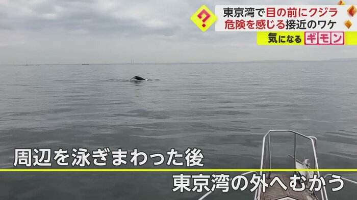 (画像:ビデオポスト(視聴者投稿映像)より)