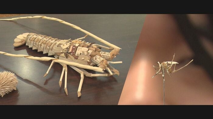 廃材アート「エビ」・「蚊」