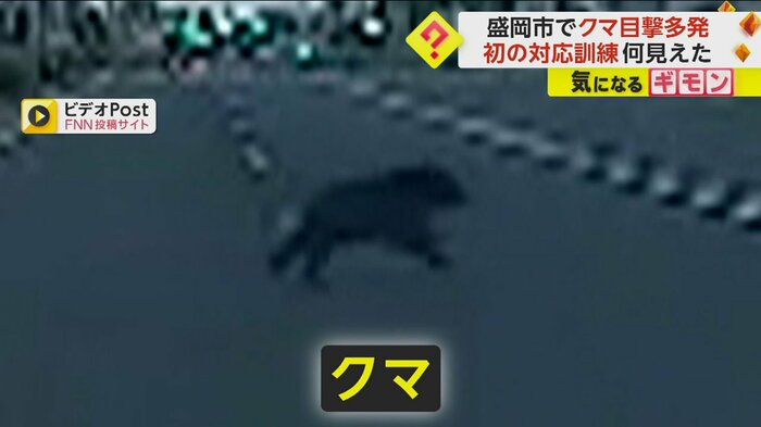 道路を横切るクマ