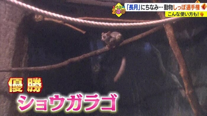 優勝は…
