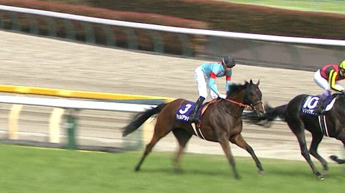 NHKマイルカップ3着のチェルビアット