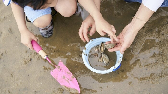 潮干狩りの様子(※画像イメージ)