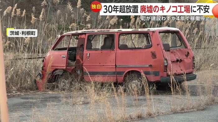 敷地内にある車も雨ざらしの状態で置き去られていた