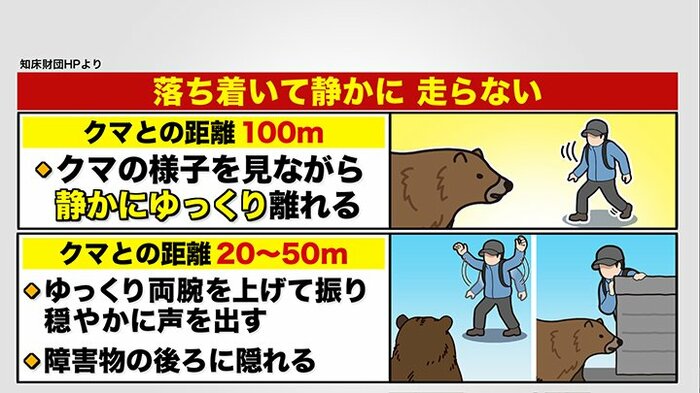 クマと遭遇した際は―
