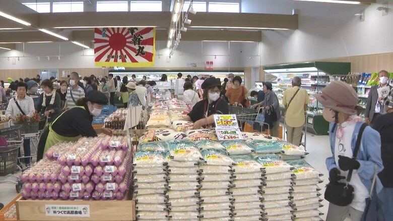 “日本のデンマーク”愛知県安城市に新産直施設「でんまるしぇ」オープン カフェでは地域の野菜等使った軽食など｜FNNプライムオンライン