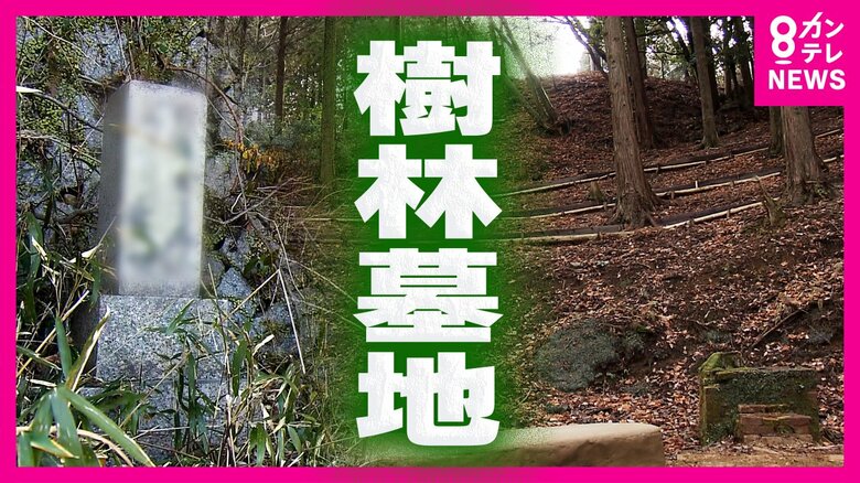 人生の最後を前向きに　墓じまい急増で新しい“墓のカタチ”　政令市で初の神戸市が整備進める「樹林墓地」｜FNNプライムオンライン