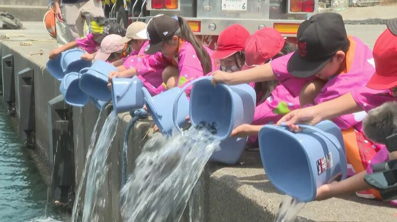 2年で40cmほどのサイズに…小中学生がトラフグの稚魚を放流 生後2カ月ほどの5000匹 三重県熊野市｜FNNプライムオンライン