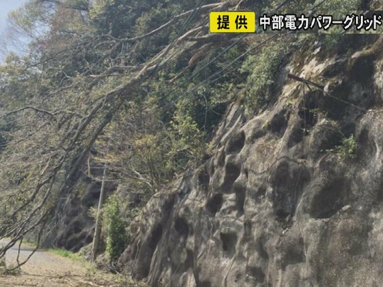JRにダイヤの乱れも…三重県津市で斜面の木が根元から倒れ電線切れる 最大で約1840戸が一時停電｜FNNプライムオンライン