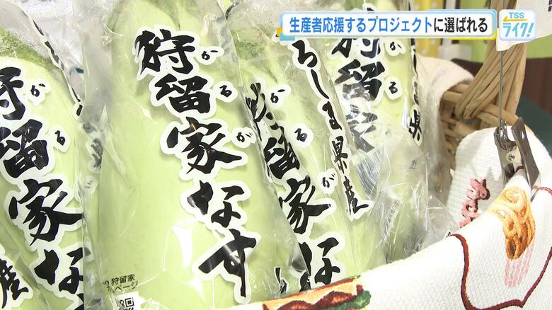 広島の特産品”狩留家なす”　食の生産者を応援するビールメーカーのプロジェクトに選ばれる｜FNNプライムオンライン