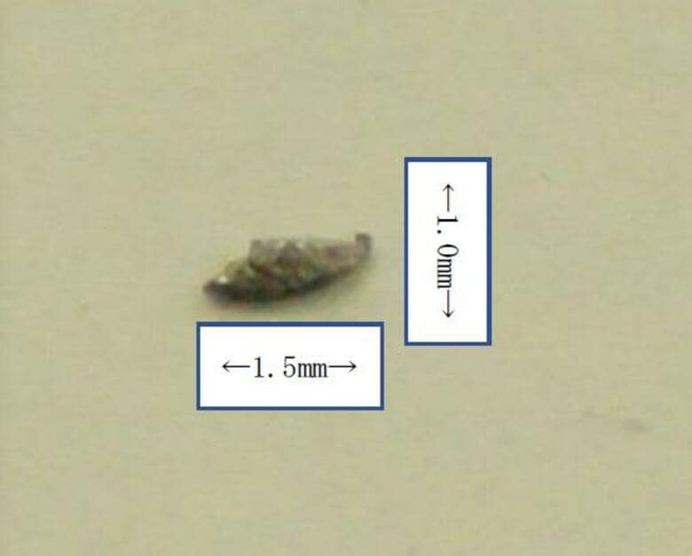 小学校の給食のコッペパンに縦1ミリ・横1.5ミリの“金属片” 健康被害は確認されず 「原因特定に努める」【新潟・小千谷市】｜FNNプライムオンライン
