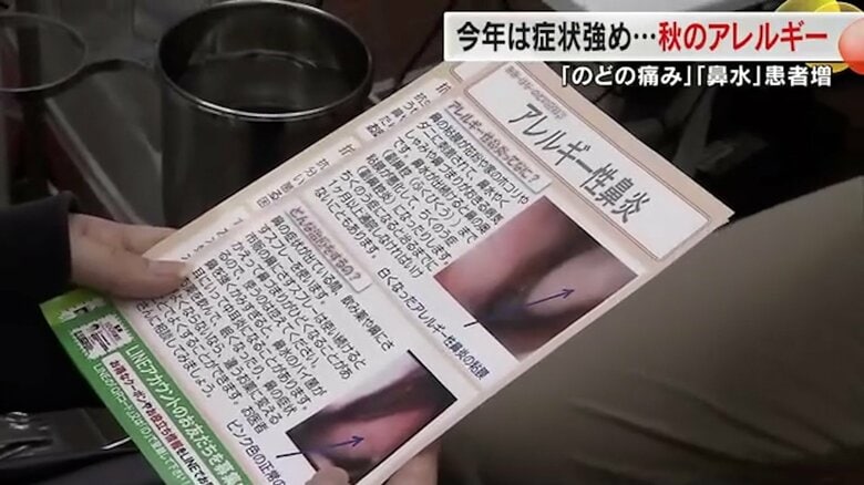 鼻水にのどの痛み…これは風邪？　2024年は2つの「秋のアレルギー」に要注意　医師に症状を緩和するための対策を聞いた｜FNNプライムオンライン