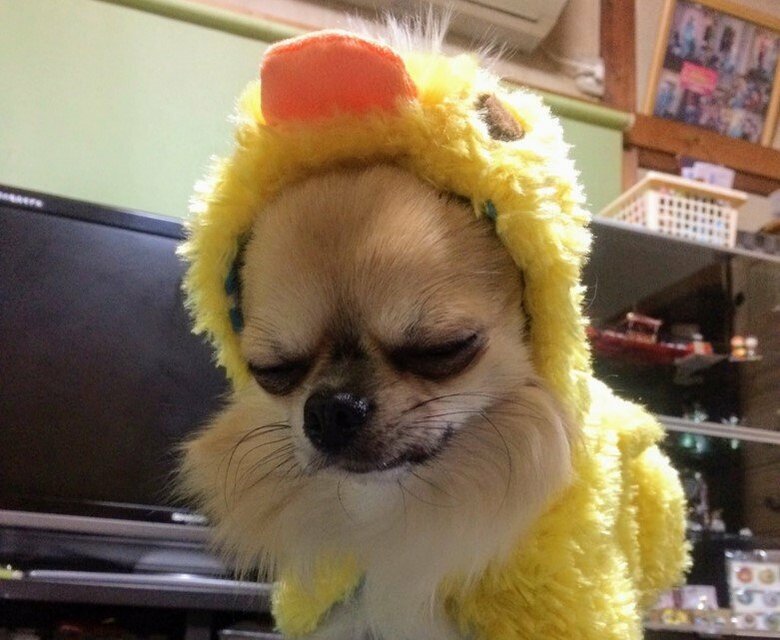 悲痛な表情を浮かべる当時4歳のリクくん（提供：榊 柾人さん）