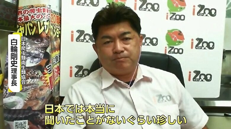日本爬虫類両生類協会・白輪剛史理事長