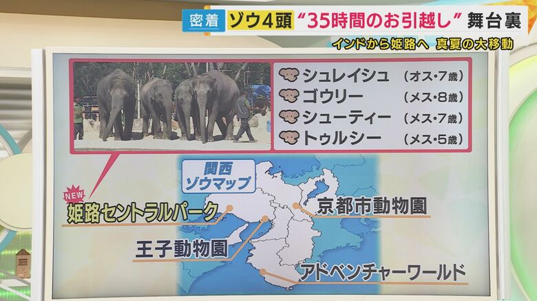 関西でゾウを見ることができる動物園