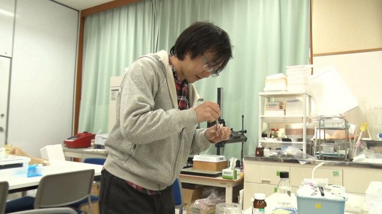 南三陸町自然環境活用センター　鈴木将太研究員