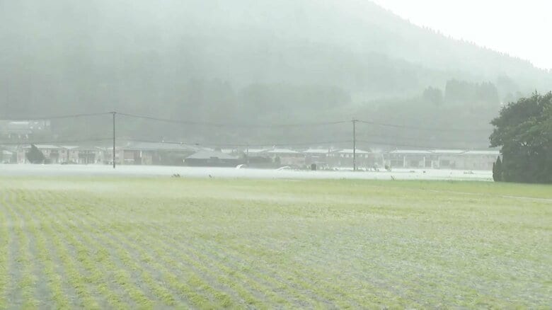 大分・由布市では稲が完全に水没。台風10号は米の収穫にも影響を及ぼしている