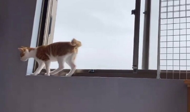 生後4カ月頃　最初に比べるとスムーズにできるように…