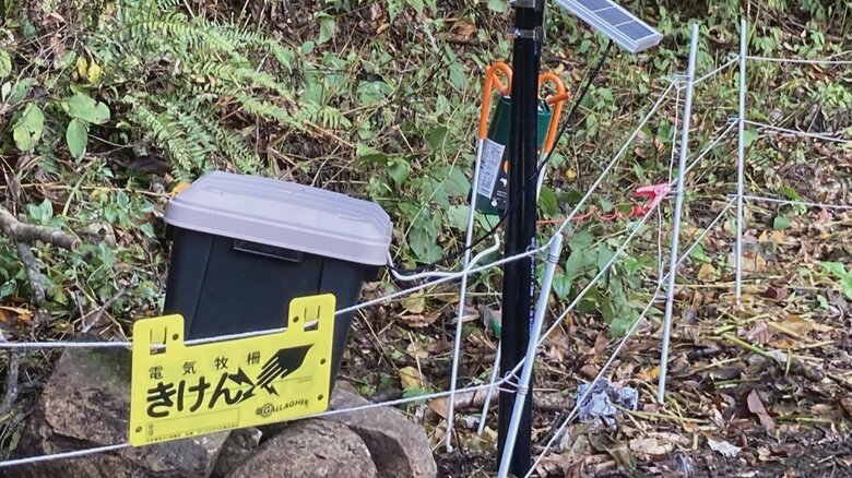 黒部峡谷鉄道 提供