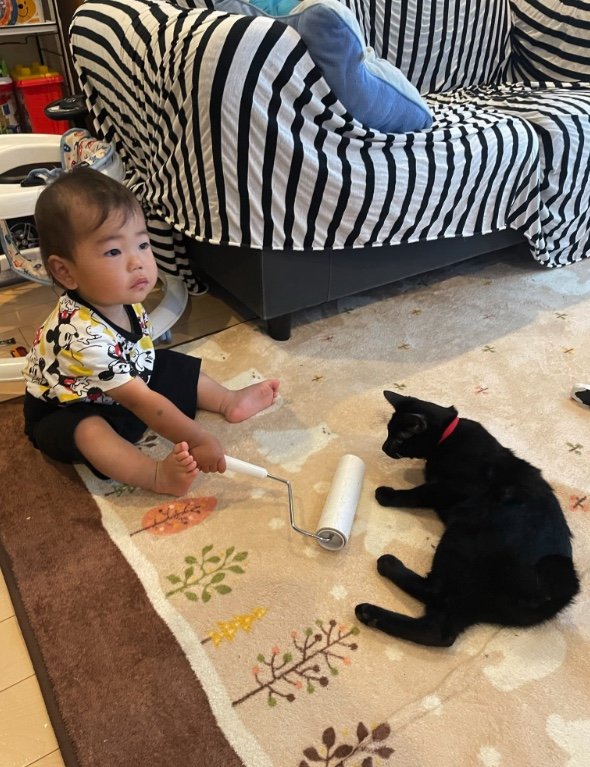 提供：ゴンゾウR4さん