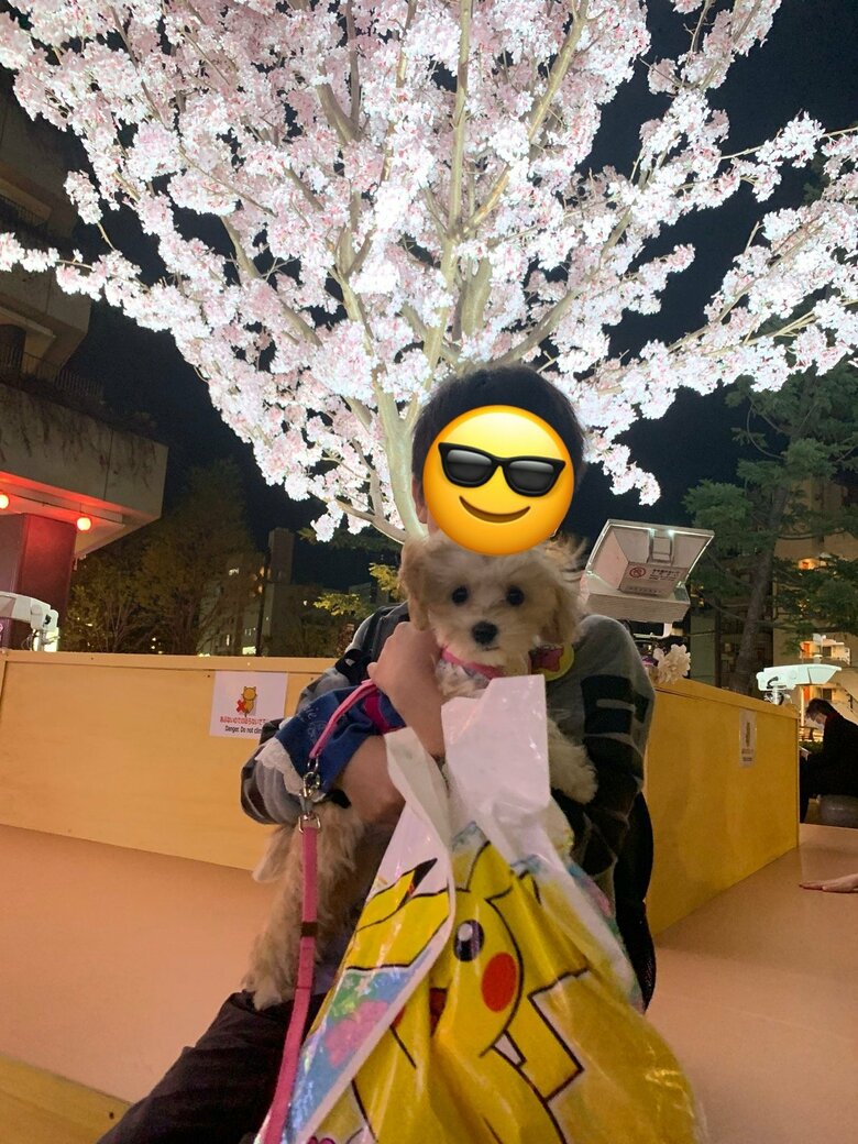 どこに行くのにも一緒