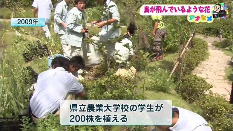 懸命に育てる学生たち（2009年）