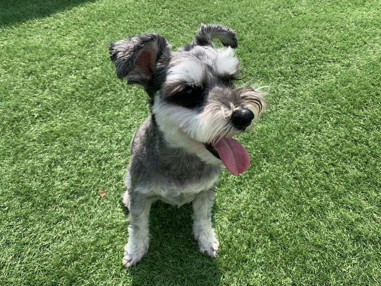 提供：くぅさん