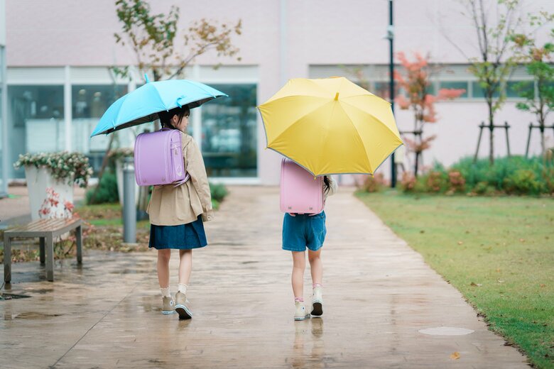 提供：株式会社ハシモト