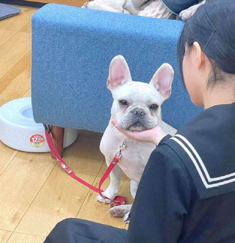 娘さんの手にアゴのせ