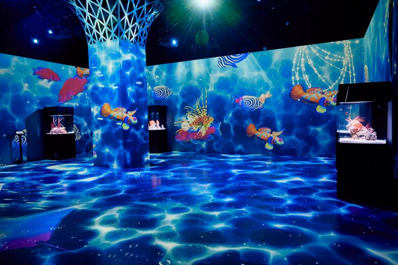 “竜宮城”をイメージした幻想的の館内の模様