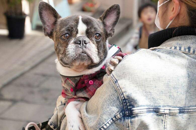 提供：丸男さん