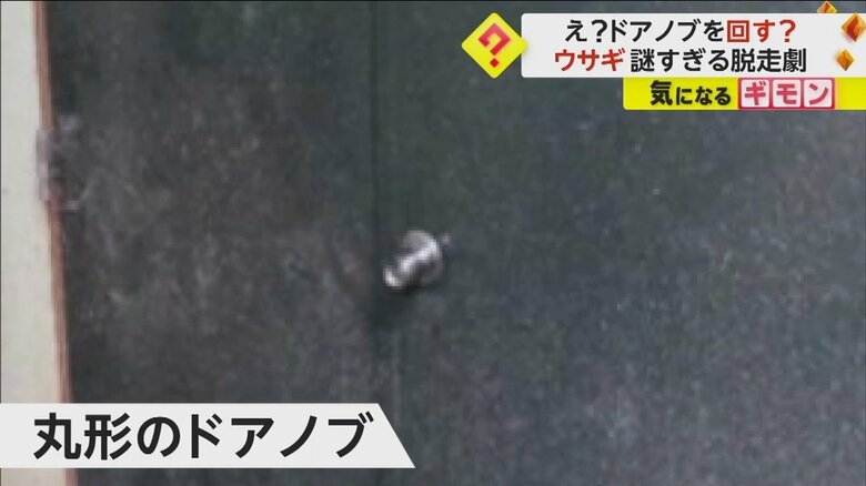 （札幌市円山動物園）