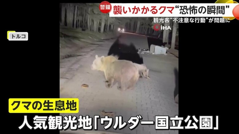 クマの生息地として知られる人気観光地「ウルダー国立公園」（トルコ）