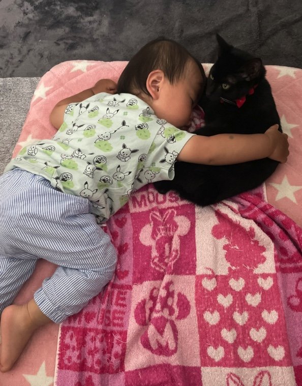 提供：ゴンゾウR4さん