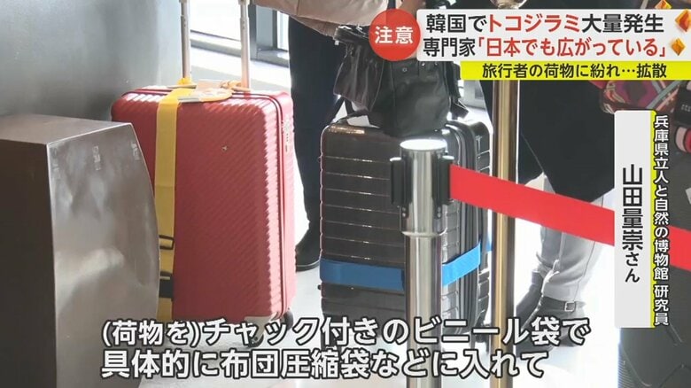 「荷物の中に潜り込ませないようにするのがいい」という
