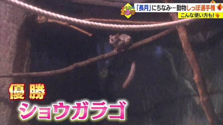 優勝は…
