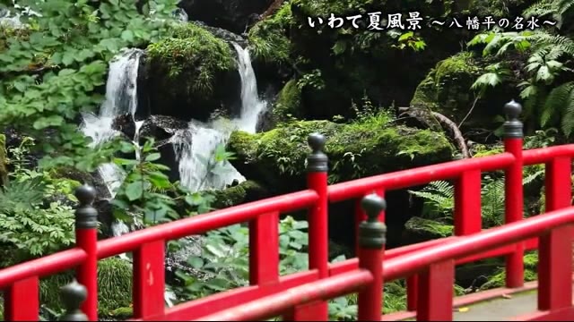 「いわて夏風景」 涼を求めて 八幡平の名水へ