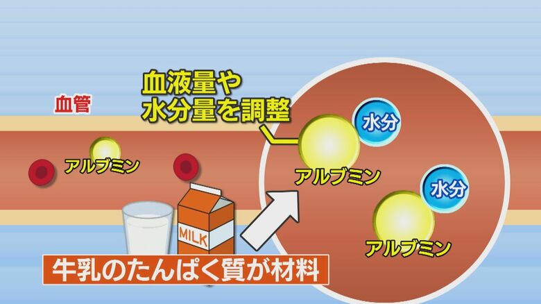 アルブミンは牛乳のたんぱく質から作られる