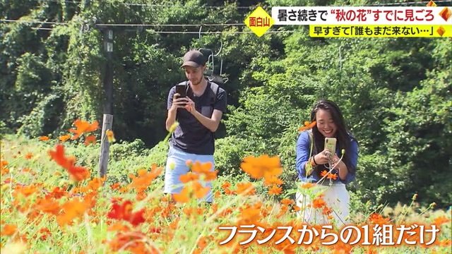 フランスからの1組だけ