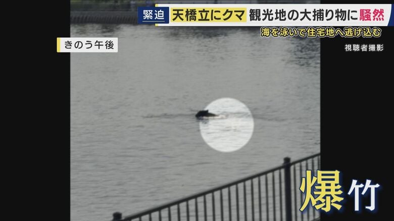 泳いでいたクマに爆竹が鳴らされた