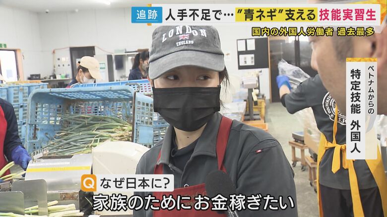 ベトナムからの特定技能外国人