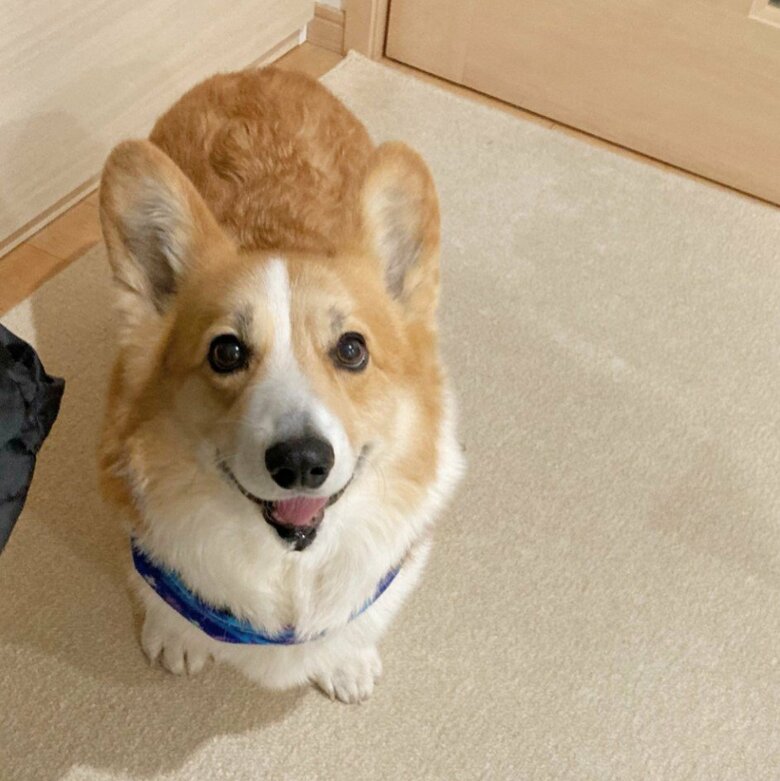 提供：むぎん家＠きよらさん